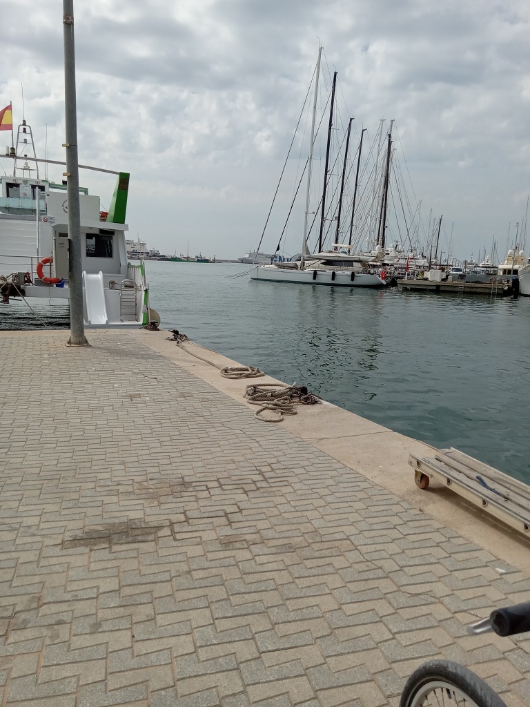 Palma de  Mallorca Marina 1